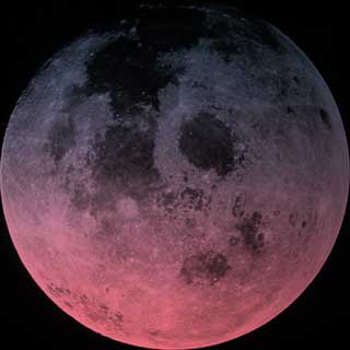 pink moon 